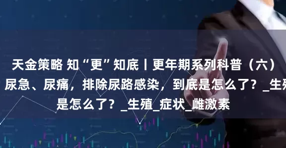 天金策略 知“更”知底丨更年期系列科普（六）最近总是尿频、尿急、尿痛，排除尿路感染，到底是怎么了？_生殖_症状_雌激素